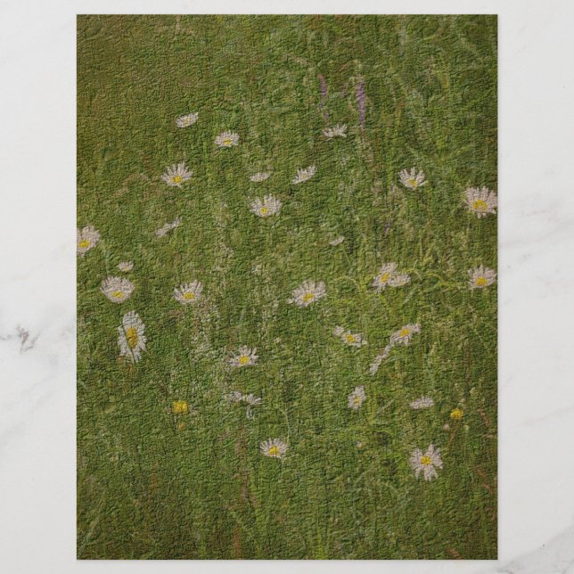 Textured Field of Daisies Floral Scrapbook Paper (Voorkant)