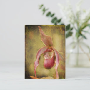 Textured Lady Slipper Orchid Briefkaart