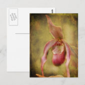 Textured Lady Slipper Orchid Briefkaart (Voorkant / Achterkant)