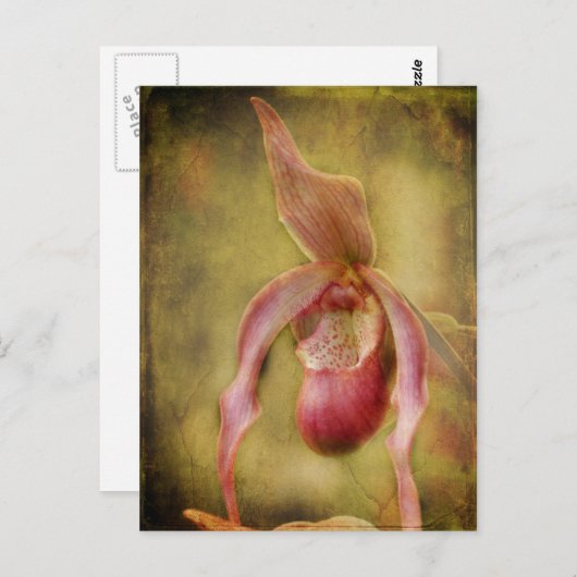 Textured Lady Slipper Orchid Briefkaart (Voorkant / Achterkant)