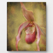 Textured Lady Slipper Orchid Fotoplaat (Voorkant)