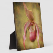 Textured Lady Slipper Orchid Fotoplaat (Zijkant)