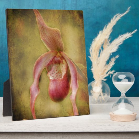 Textured Lady Slipper Orchid Fotoplaat (Zijkant)