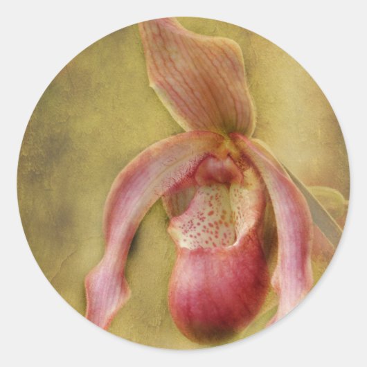Textured Lady Slipper Orchid Ronde Sticker (Voorkant)