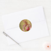 Textured Lady Slipper Orchid Ronde Sticker (Envelop)