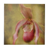 Textured Lady Slipper Orchid Tegeltje (Voorkant)