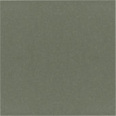 Textured Moss Groene Sticker –  (Voorkant)