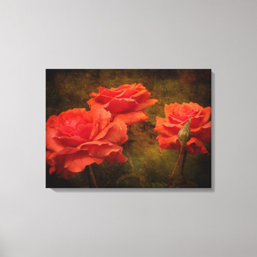 Textured Peach Rozen Stretch Canvas Print (Voorkant)