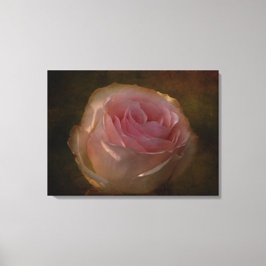 Textured Pink Rose Canvas Print (Voorkant)