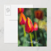 Textured Tulip Garden Bedankt Briefkaart (Voorkant / Achterkant)