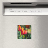 Textured Tulip Garden Magneet (Insitu (Vaatwasser))