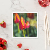 Textured Tulip Garden Servet (Insitu)