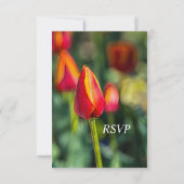 Textured Tulip Garden Wedding RSVP Kaartje (Achterkant)