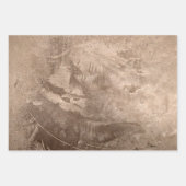 Textuur  bruin beige Tan Grunge Rustic Inpakpapier Vel (Voorkant 2)