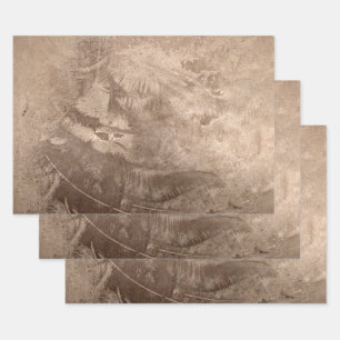 Textuur bruin beige Tan Grunge Rustic Inpakpapier Vel