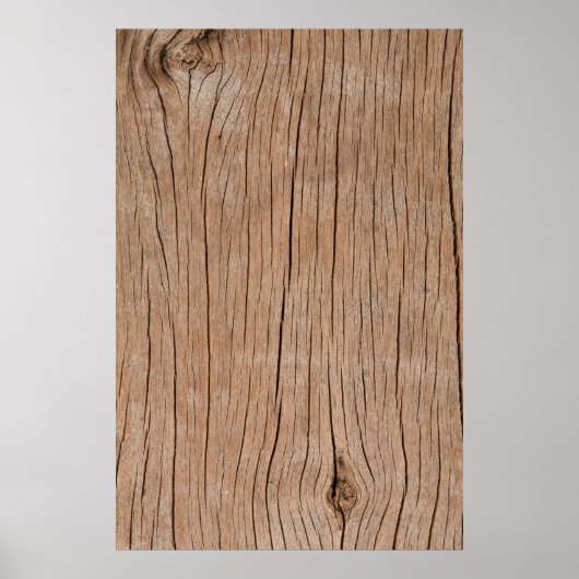 Textuur of bark wood use as atural backgroundbackg poster (Voorkant)
