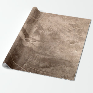 Textuur  Rustic Brown Tan Beige Grunge Cadeaupapier