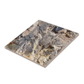 Textuur van bergsteen tegeltje (Zijkant)