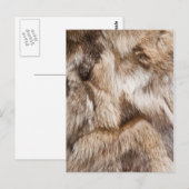 textuur van elegant bont briefkaart (Voorkant / Achterkant)