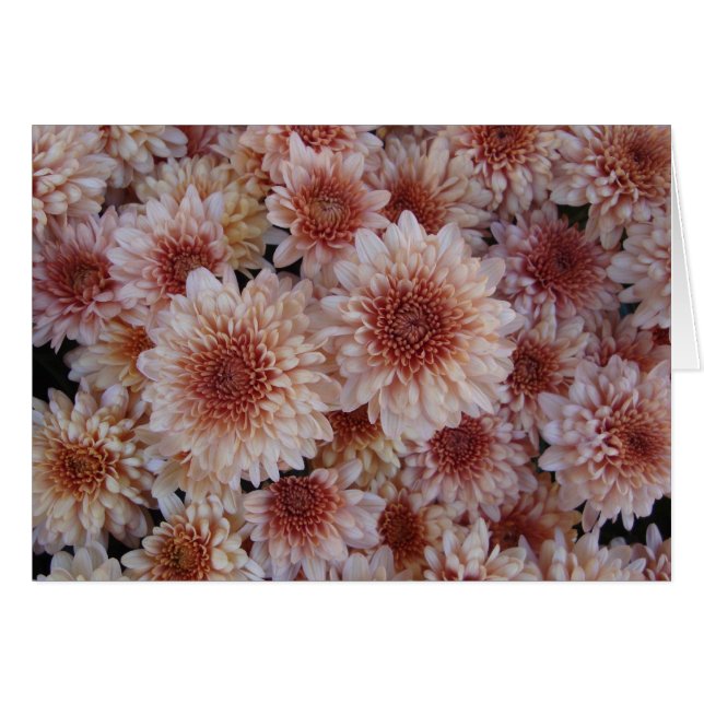 Textuur van geluk / La textura de la alegría (Voorkant Horizontaal)