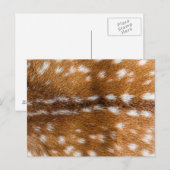 textuur van gepotte herten briefkaart (Voorkant / Achterkant)