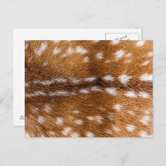 textuur van gepotte herten briefkaart (Voorkant / Achterkant)