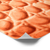 textuur van Oranje reptielleder Poster (Hoek)