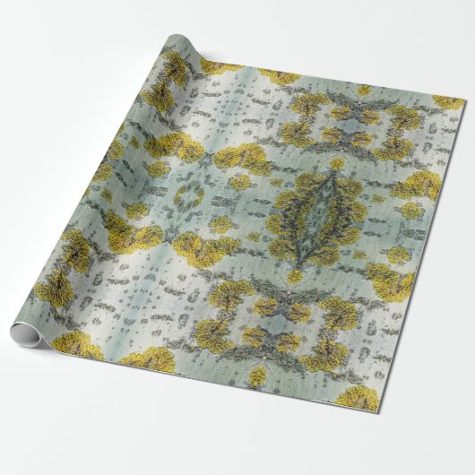 Textuur van schors van espen cadeaupapier (Uitgerold)