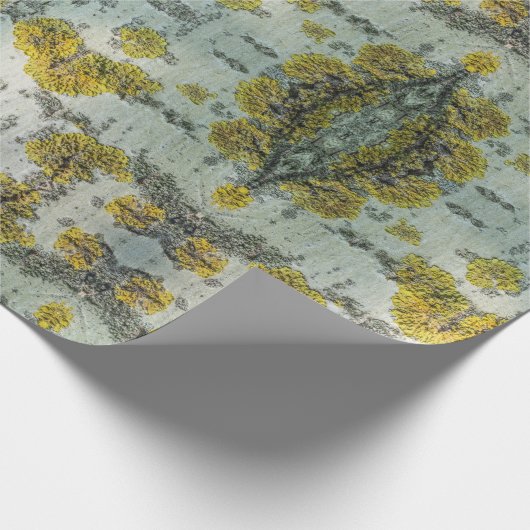 Textuur van schors van espen cadeaupapier (Hoek)