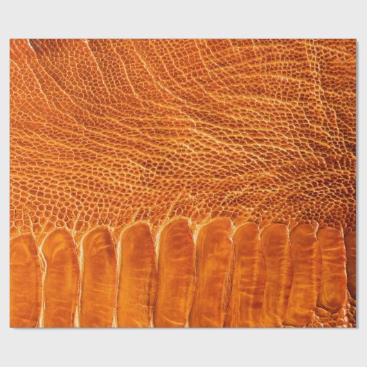 textuur van struisgras cadeaupapier (Vlak)