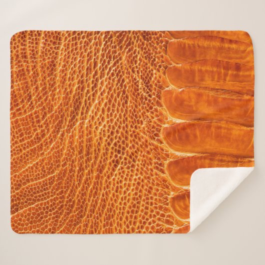 textuur van struisgras sherpa deken (Voorkant (horizontaal))