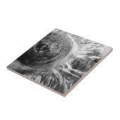 textuur van zwart en wit hout tegeltje (Zijkant)