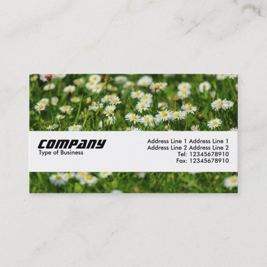 Textuurband - Daisy Meadow Visitekaartje (Voorkant)