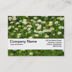 Textuurband V2 - Daisy Meadow Visitekaartje