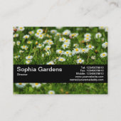 Textuurband V2 - Daisy Meadow Visitekaartje (Achterkant)