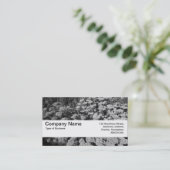 Textuurband V2 - Sedum "Autumn Joy" Visitekaartje (Staand voorkant)