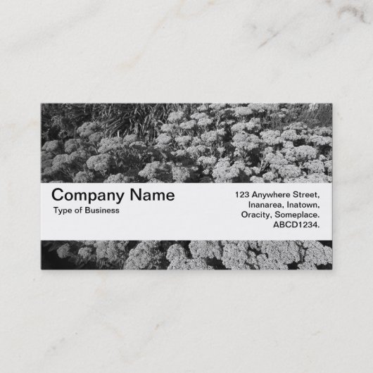 Textuurband V2 - Sedum "Autumn Joy" Visitekaartje (Voorkant)