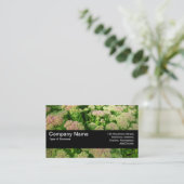 Textuurband V2 - Sedum "Autumn Joy" Visitekaartje (Staand voorkant)