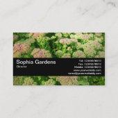 Textuurband V2 - Sedum "Autumn Joy" Visitekaartje (Achterkant)