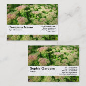 Textuurband V2 - Sedum "Autumn Joy" Visitekaartje (Voorkant / Achterkant)