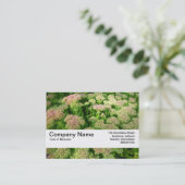 Textuurband V2 - Sedum "Autumn Joy" Visitekaartje (Staand voorkant)