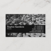 Textuurband V2 - Sedum "Autumn Joy" Visitekaartje (Achterkant)