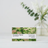 Textuurband V2 - Sedum "Autumn Joy" Visitekaartje (Staand voorkant)