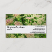 Textuurband V2 - Sedum "Autumn Joy" Visitekaartje (Achterkant)