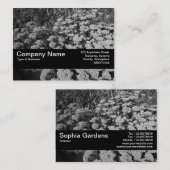 Textuurband V2 - Sedum "Autumn Joy" Visitekaartje (Voorkant / Achterkant)