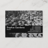 Textuurband V2 - Sedum "Autumn Joy" Visitekaartje (Achterkant)