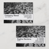 Textuurband V2 - Sedum "Autumn Joy" Visitekaartje (Voorkant / Achterkant)