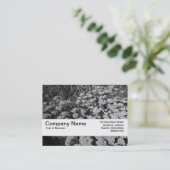 Textuurband V2 - Sedum "Autumn Joy" Visitekaartje (Staand voorkant)