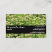 Textuurband V2 - Sedum (najaargang) Visitekaartje (Achterkant)