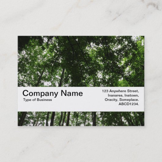 Textuurband V2 - Woodland Canopy 01 Visitekaartje (Voorkant)